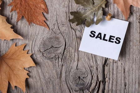 秋季销售字固定在质朴的木背景黄色红色和绿色叶子复制空间