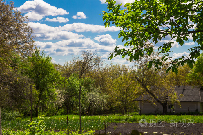 农村克罗夫特在春天俯瞰着花园