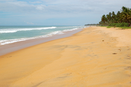 印度洋 托塔 斯里兰卡的沙滩和绿松石水