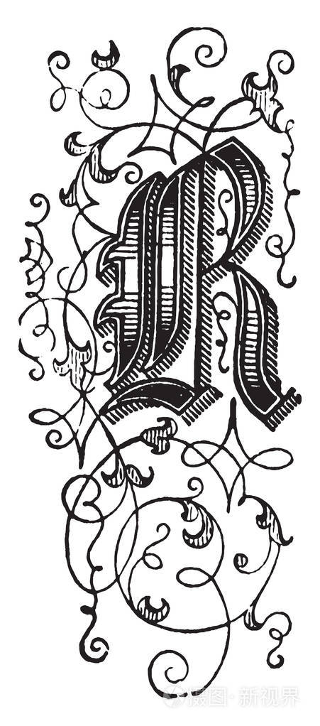装饰花卉大写字母s复古线条画或雕刻插图