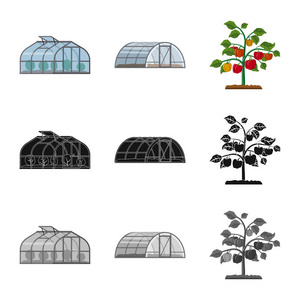 温室和植物标志的孤立对象。温室和花园股票矢量图集