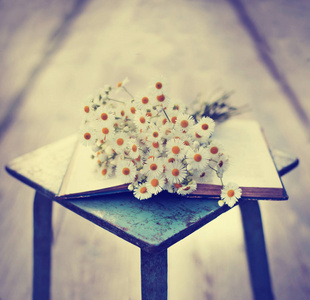 新鲜春黄菊的花束在质朴的木凳上打开的书