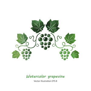 莓果葡萄树图片