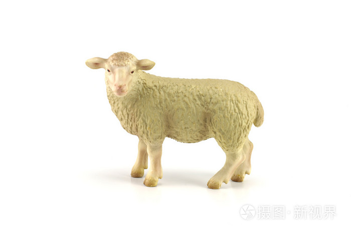 孤立在白色背景上的羊玩具