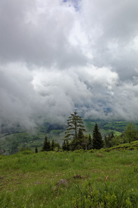 顶山与绿油油的草地，在雨云