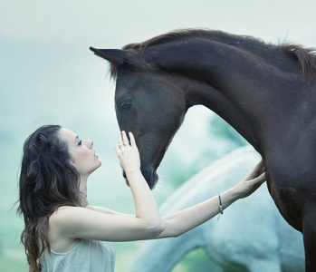 女人抚摸一匹马