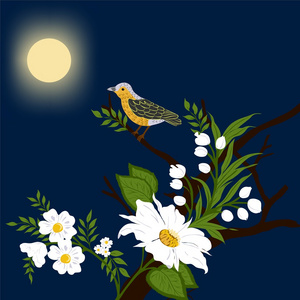 花卉插图与鸟