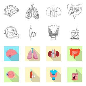 人体和人类标志的孤立对象。收集身体和医学矢量图标的股票