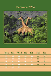 2014 年12 月的 safari 日历