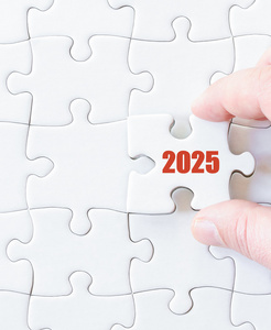 缺失到 2025 年的拼图拼图