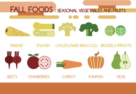 秋天食品时令蔬菜和水果