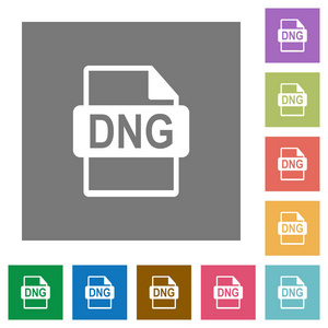 简单颜色正方形背景上的 dng 文件格式平面图标