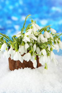 雪花莲与雪，在明亮的背景上的花瓶里的花束