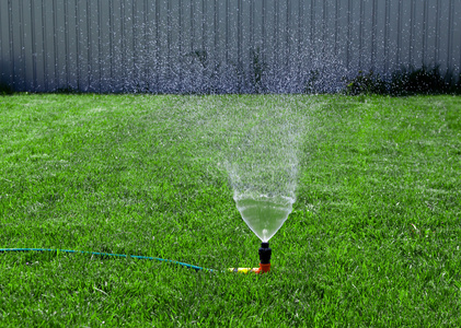 在绿色的草地草坪洒水自动花园草坪洒水器在动作浇草.