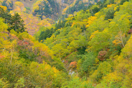 日本北部阿尔卑斯山的风景