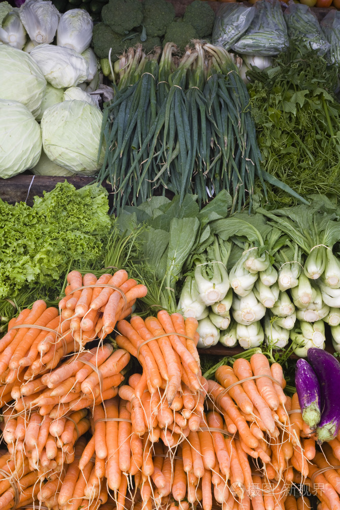 菜摊的普卡印度尼西亚