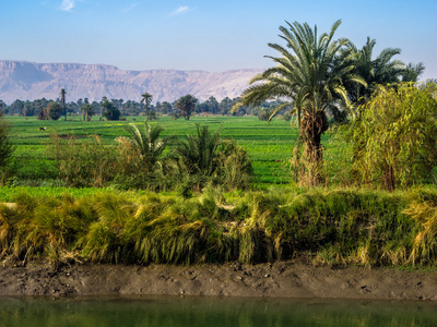 尼罗河谷照片