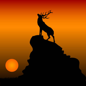 苏格兰的鹿图片