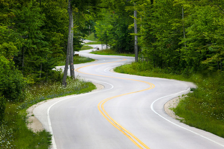 曲折的道路，在森林里