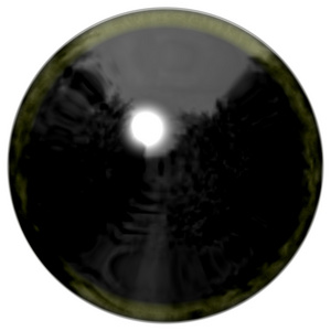 大开放动物眼睛与暗黄色色的虹膜,变成黑色的眼睛灯泡的详细信息视图