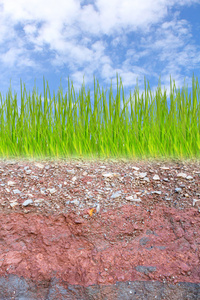 绿草和地下土层剖面