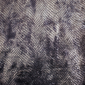 蛇的皮毛纹理照片