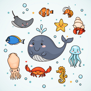 可爱的海洋生物照片
