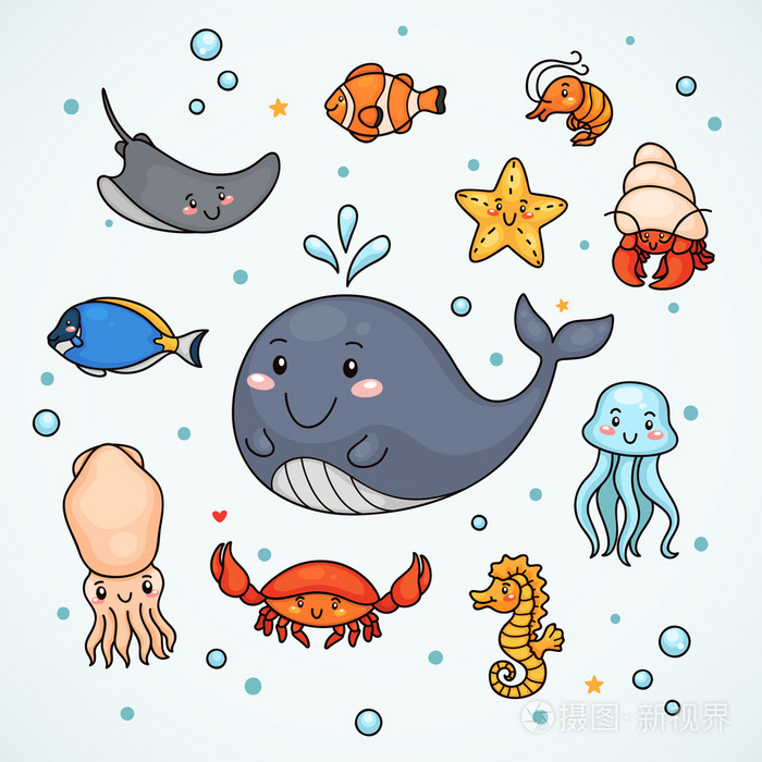 可爱的海洋生物