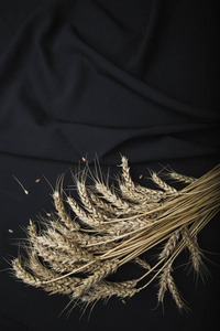 秋天仍然生活从耳朵的小麦在黑色织物背景