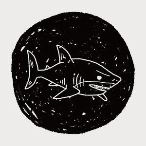 鲨鱼的涂鸦