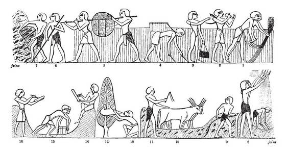 这个插图代表埃及的农业, 复古线条画或雕刻插图图片