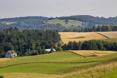 suwalki 景观公园波兰