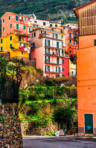 manarola 的视图