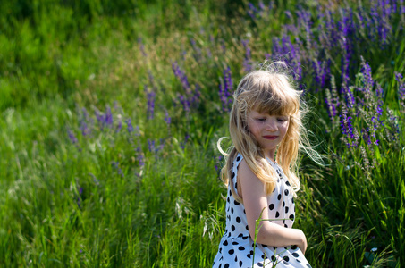 美丽的金发女孩在草地上