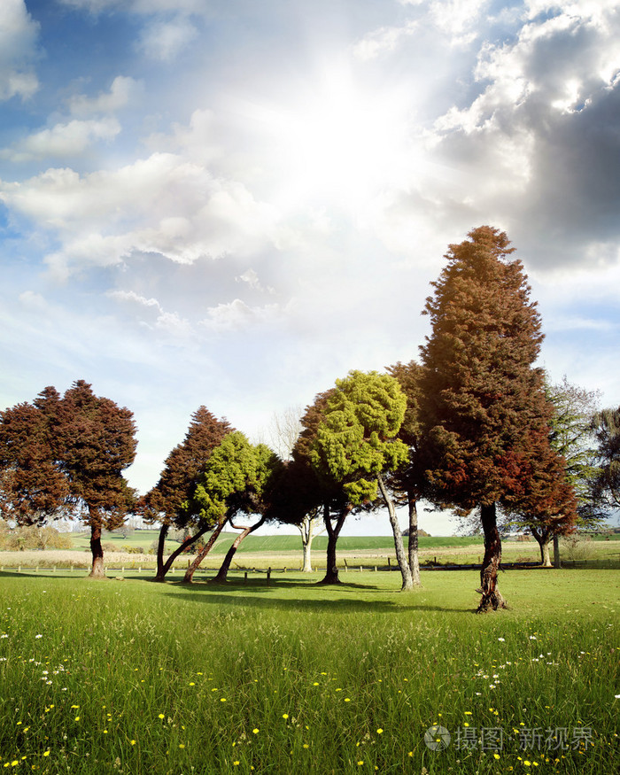 限制暂无图片作者stillfx新媒体授权标准授权扩展授权如何选择jpg大