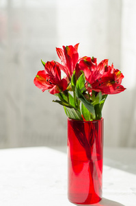 红六出白色桌上花瓶中的花束