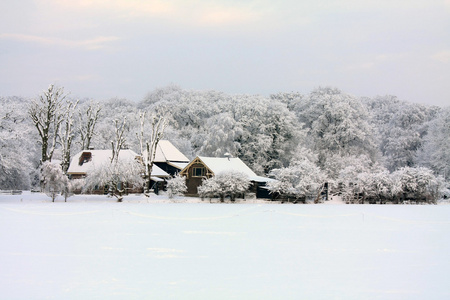 冬季农场在雪中