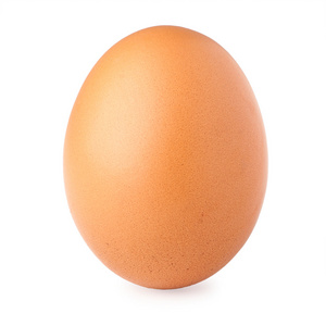 在白色背景上的棕色蛋