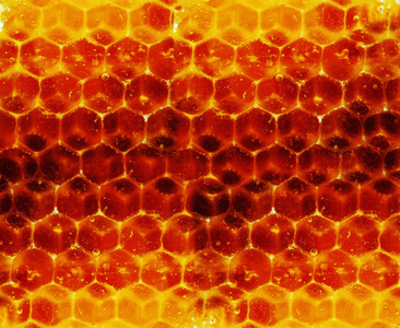 蜂窝结构。明亮的黄色背景。蜂蜜