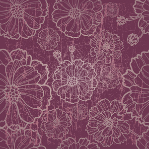 标本图片 标本素材 标本插画 摄图新视界