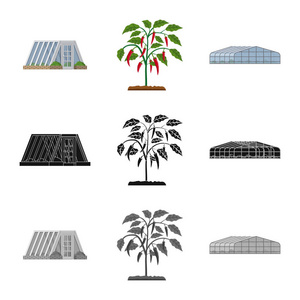 温室和植物图标的孤立对象。网站的温室和花园股票符号收集