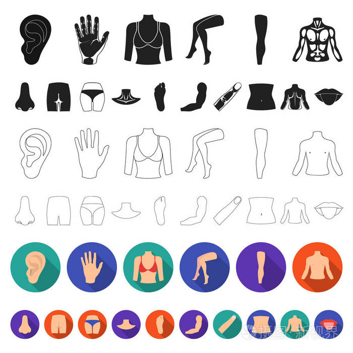 身体的一部分四肢扁平的图标集为设计收藏人体解剖学矢量符号股票网页
