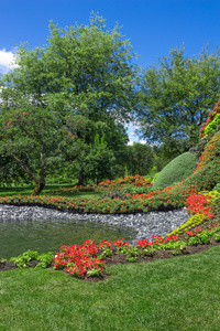 池塘的明亮的夏天花园图片