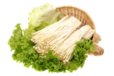 新鲜的金针菇图片