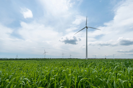 小麦和风力涡轮机发电的绿色田野