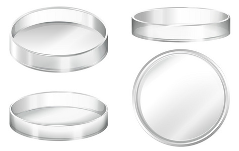 高粱的培养图片-高粱的培养素材-高粱的培养插画-摄图新视界