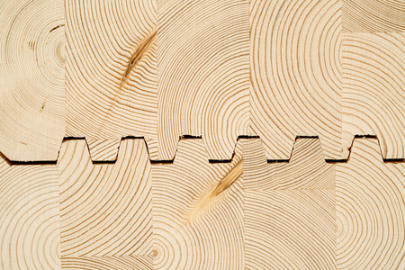 切木单板伐木业图片