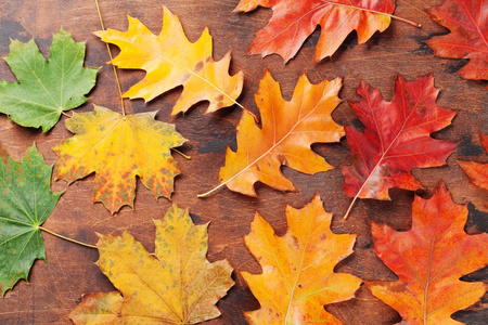 秋天背景与五颜六色的叶子在木背景