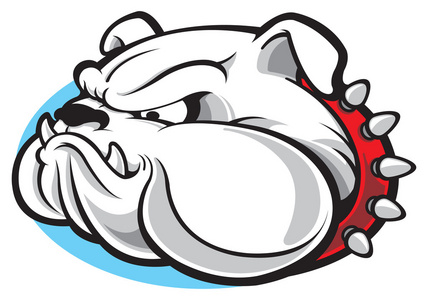 牛头犬凶猛的牛头犬头愤怒的牛头犬集合牛头犬牛头犬矢量吉祥物标志