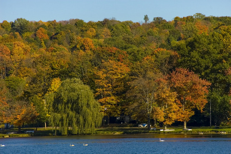 卡梅尔纽约州景区秋季景观